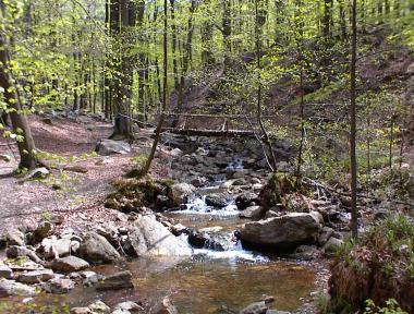 Pittoreske waterloop in de bossen bij Spa