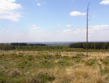 Uitzicht boven op de Fagne de Malchamps kijkend richting Spa Uitzicht boven op de Fagne de Malchamps kijkend richting Spa