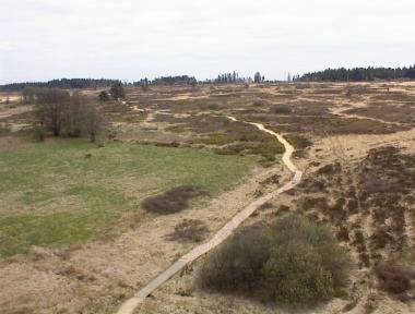 Uitzicht op Fagne de Malchamps vanaf de uitkijktoren nabij Ferme de la Berinzenne Uitzicht op Fagne de Malchamps vanaf de uitkijktoren nabij Ferme de la Berinzenne