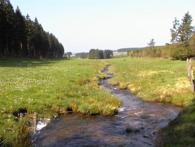 Slingerend beekje door de weilanden bij 'ruisseau des Fagnes' Slingerend beekje door de weilanden bij 'ruisseau des Fagnes'