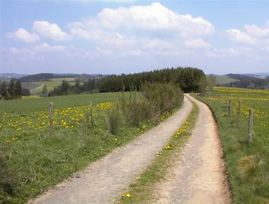 Pad over bergkam tussen Braunlauf en Schirm Pad over bergkam tussen Braunlauf en Schirm