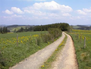 Pad over bergkam tussen Braunlauf en Schirm