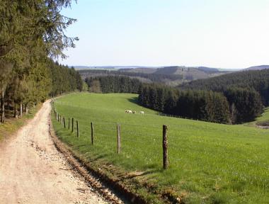 Uitzicht nabij kruispunt Leithum (grens Belgi�-Luxemburg)