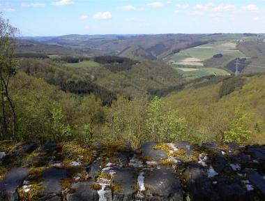 Uitzicht op het heuvellandschap vanaf de Neklosbierg