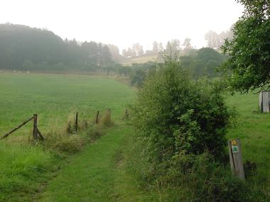 Omhoog door de velden richting het Bicheboesch Omhoog door de velden richting het Bicheboesch