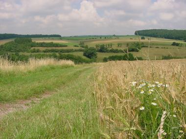 Pad door de velden nabij Keiwelbach