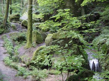 Wandelpad door de vallei van de Halerbaach