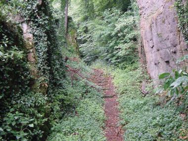 Pad tussen begroeide rotsen nabij de Alkummer kloof Pad tussen begroeide rotsen nabij de Alkummer kloof