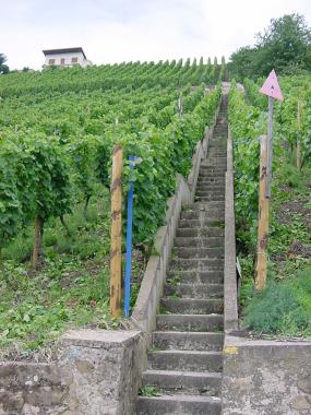 Steile trap door de wijngaarden tussen Ahn en Wormeldange