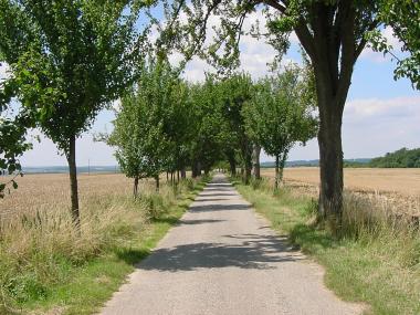 Vlakke weg door de velden tussen Remerschen en Elvange-l�s-Burmerange