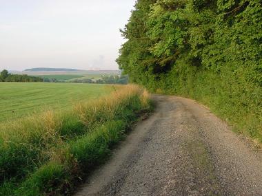 Uitzicht en pad nabij Mondorf-les-Bains Uitzicht en pad nabij Mondorf-les-Bains