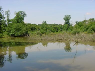 Vijver in het bos nabij Hellange