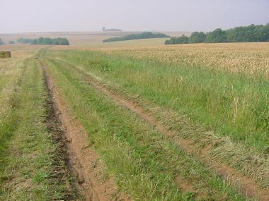 Uitzicht tussen de grens en Molvange Uitzicht tussen de grens en Molvange