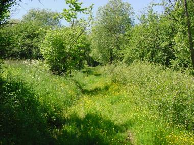 Begroeid graspad tussen F�ves en Norroy-le-Veneur