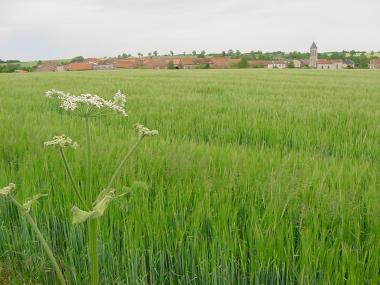 Zicht op Rosi�res en Haye Zicht op Rosi�res en Haye