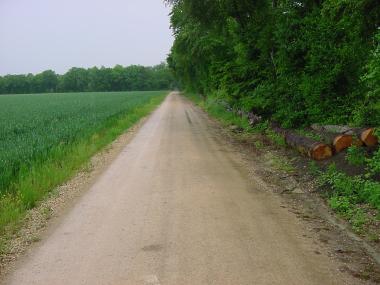 Weg langs de bosrand nabij Ferme de Haras Weg langs de bosrand nabij Ferme de Haras