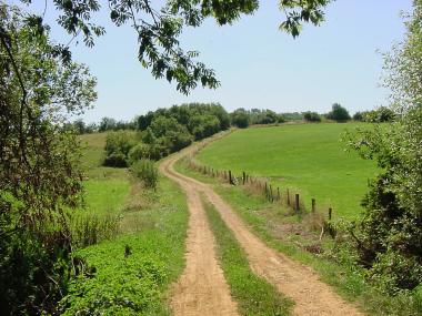 Veldweg tussen Blanzey en Amance Veldweg tussen Blanzey en Amance