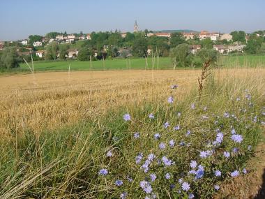 Uitzicht op Brin-sur-Seille