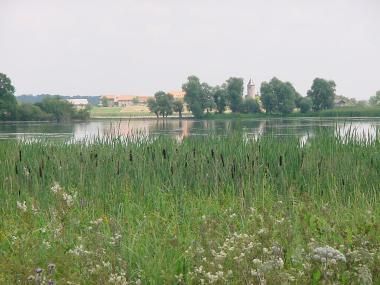 Etang de Lindre met zicht op Tarquimpol