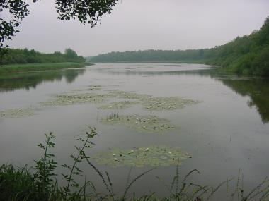 Het grote �tang du Stock Het grote �tang du Stock