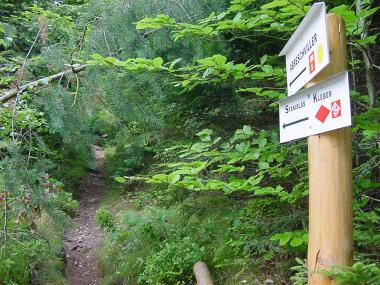 Steil en smal klimmend bospad richting Les Deux Croix