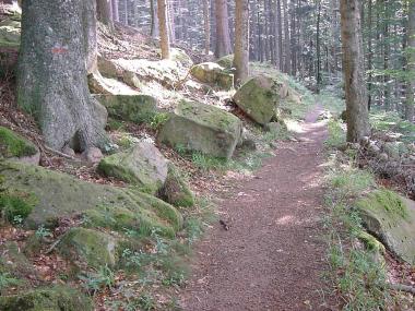 Rotsachtig pad in de bossen tussen Welschbruch en Mont-Sainte-Odile