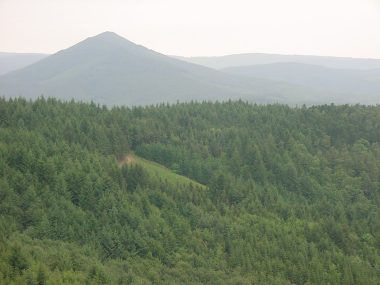 Zicht op de spitse Ungersberg Zicht op de spitse Ungersberg