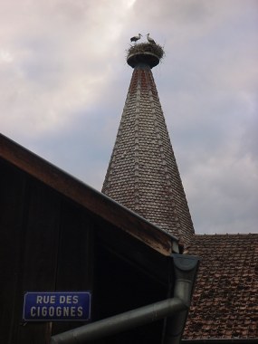 Ooievaars op een dak in de 'Rue des Cigognes' in Ribeauvill� Ooievaars op een dak in de 'Rue des Cigognes' in Ribeauvill�