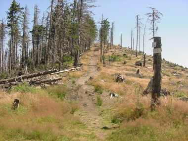 Terugblik op de Petit Br�zouard (1206 meter)