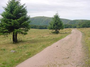 Pad nabij Les Trois Fours met zicht op Le Hohneck Pad nabij Les Trois Fours met zicht op Le Hohneck