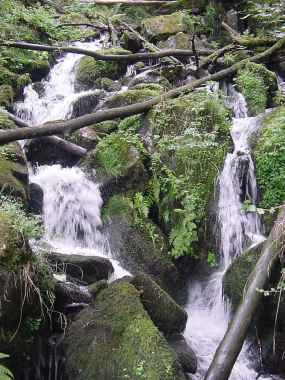Waterval in het riviertje Wormsabachrunz Waterval in het riviertje Wormsabachrunz