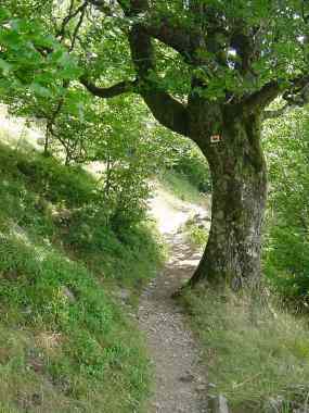 Tussen Marktstein en de Grand Ballon