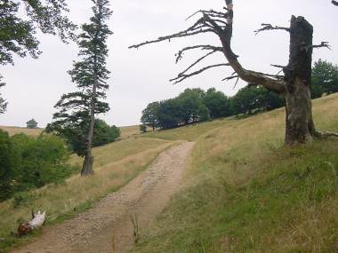 Weg bij het open veld naar de col du Rossberg (1100 meter)