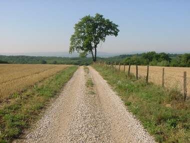 Veldweg na Br�villiers met mooi zicht op landschap