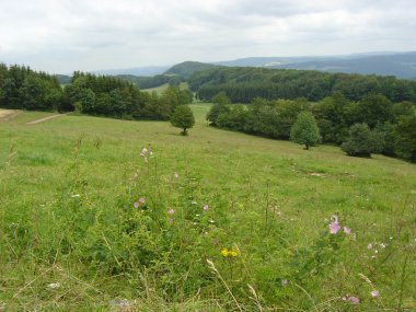 Omgeving bij Ferme du Lomont