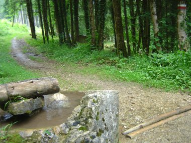 Waterbron nabij la Charbonni�re Waterbron nabij la Charbonni�re