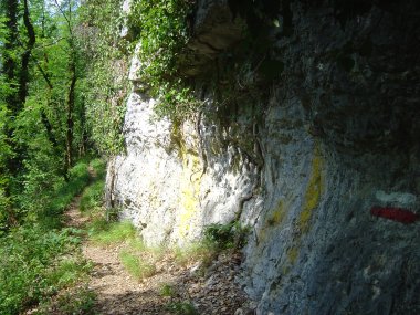 Bergpaadje langs de rotsen bij de Doubs Bergpaadje langs de rotsen bij de Doubs