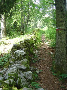 Wandelpad langs grenstenen tussen Sur la Roche en le Gardot Wandelpad langs grenstenen tussen Sur la Roche en le Gardot