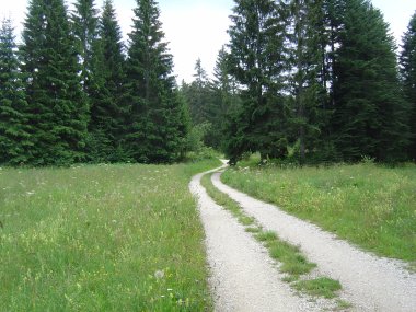 Pad door de bossen tussen les Cernoniers en Vieux-Chateleu