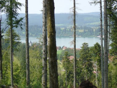 Zicht op het Lac de St. Point nabij le V�zenay Zicht op het Lac de St. Point nabij le V�zenay