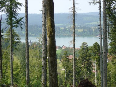 Zicht op het Lac de St. Point nabij le V�zenay