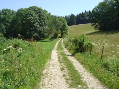 Pad door de velden nabij Malbuisson