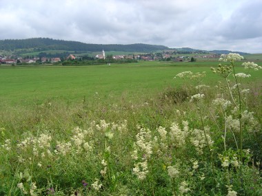 Weidevelden met uitzicht op Mouthe