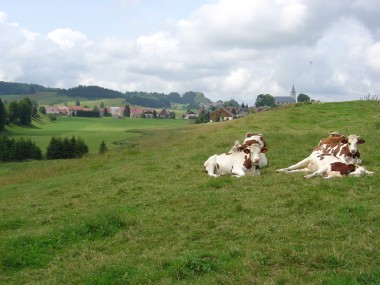 Door de weilanden met uitzicht op Chaux-Neuve Door de weilanden met uitzicht op Chaux-Neuve