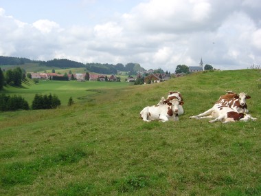 Door de weilanden met uitzicht op Chaux-Neuve