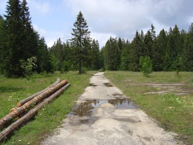 Open terrein bij 'Chez l'Officier' in het bos