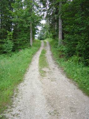 Bospad tussen Chez l'Officier en Chapelle des Bois