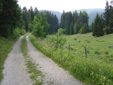 Wandelpad met uitzicht op la D�le Wandelpad met uitzicht op la D�le