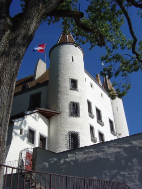 Het kasteel in het centrum van Nyon