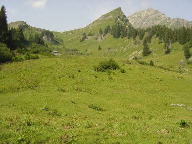 Weidelandschap bij de beklimming van de col des Mattes